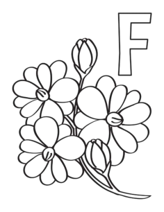 Flower F Is For Flower Simple Tracing Worksheets Pdf, Free Vectors File
